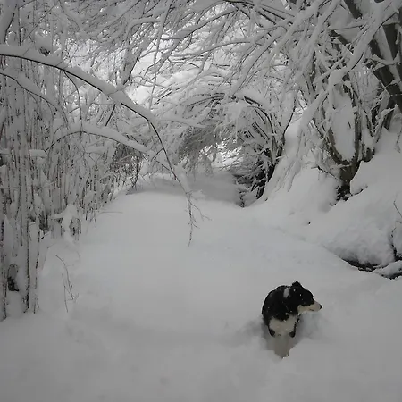 Edelweiss - Grust, Panoramique Sud *